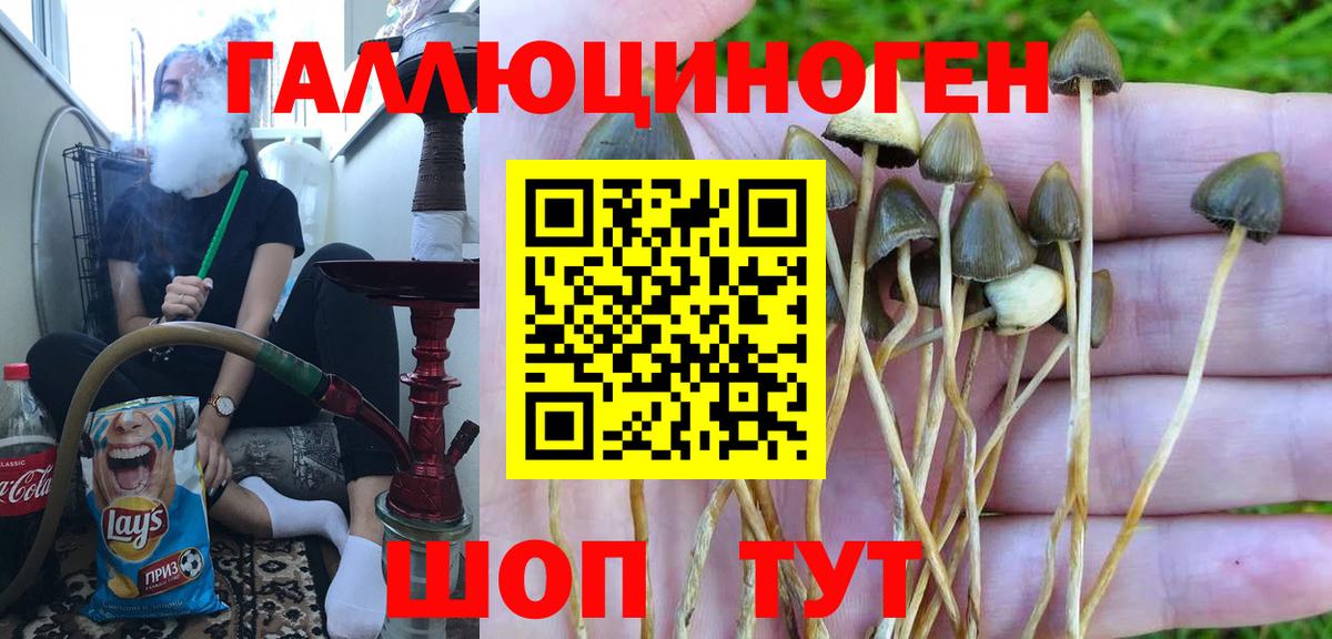 Галлюциногенные грибы MAGIC MUSHROOMS Можга
